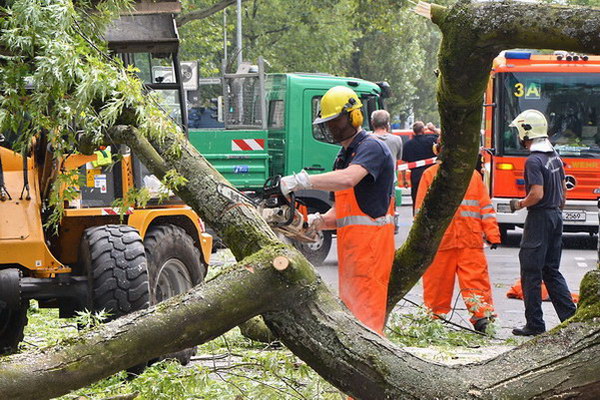 Feuerwehr_Baum   013.jpg